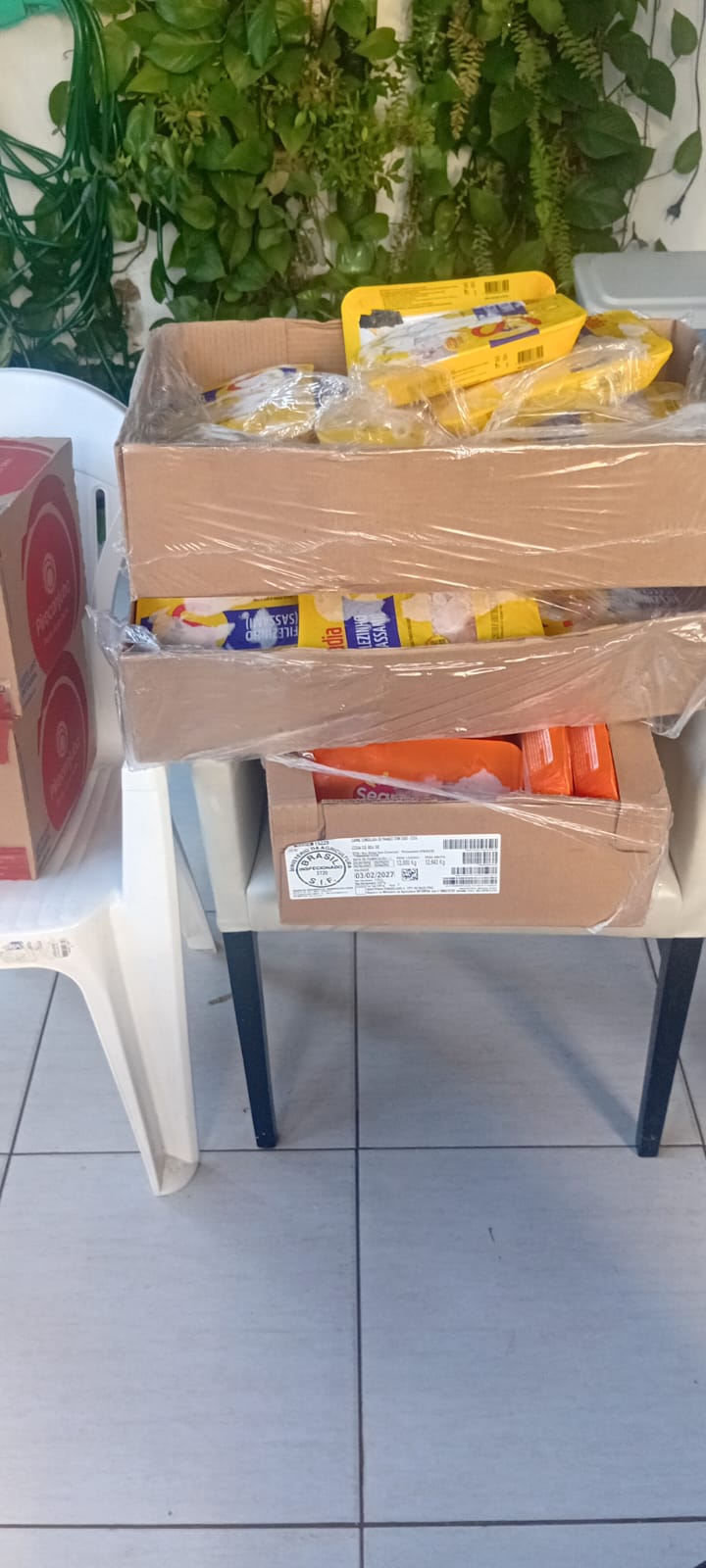 Registro 6